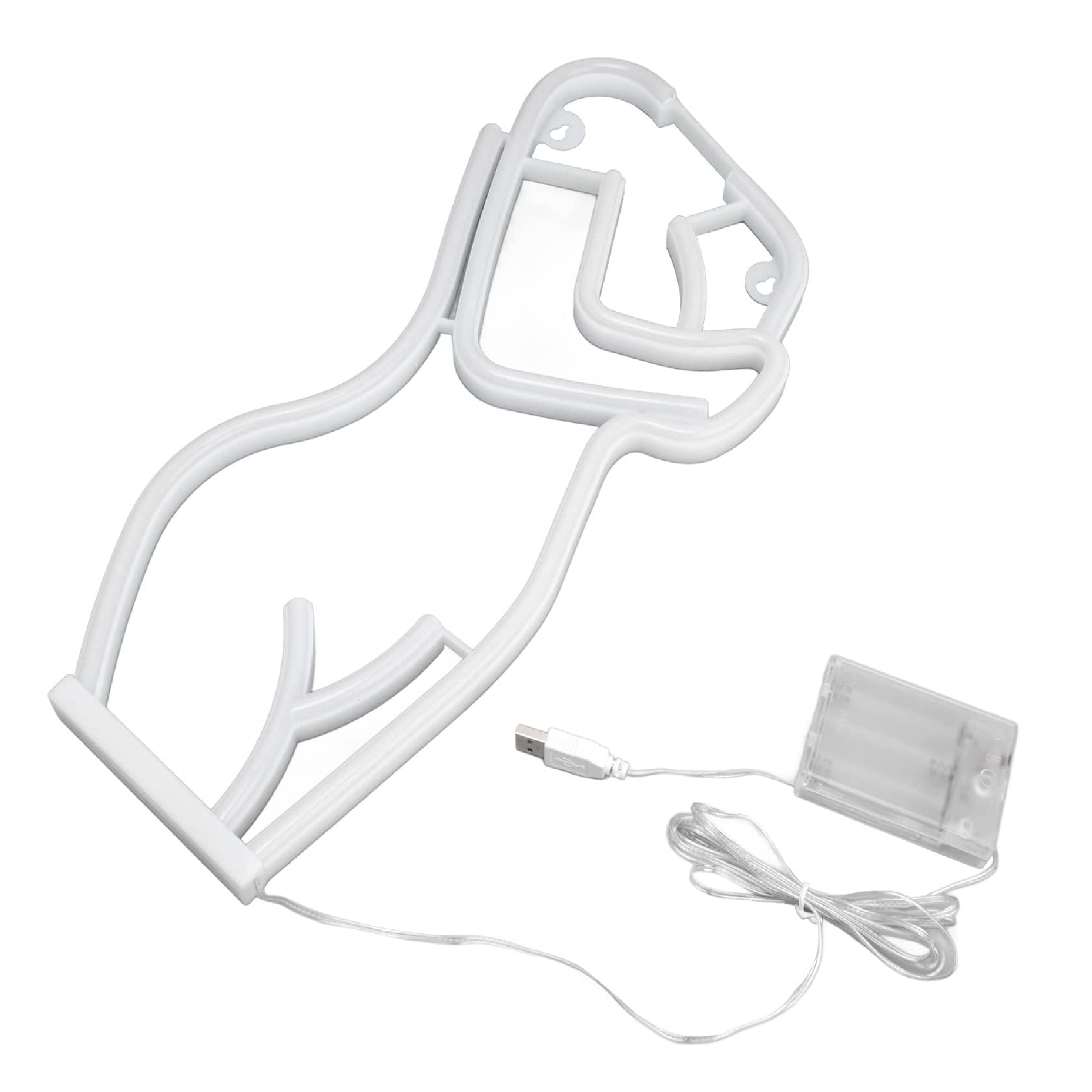 Lady’s Front Silhouette Neon Sign Lamp USB