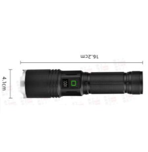 Hybrid light torch and charger