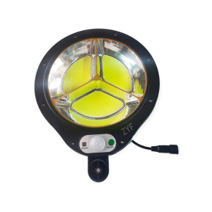 Solar Powered Induction Street COB Light 100W