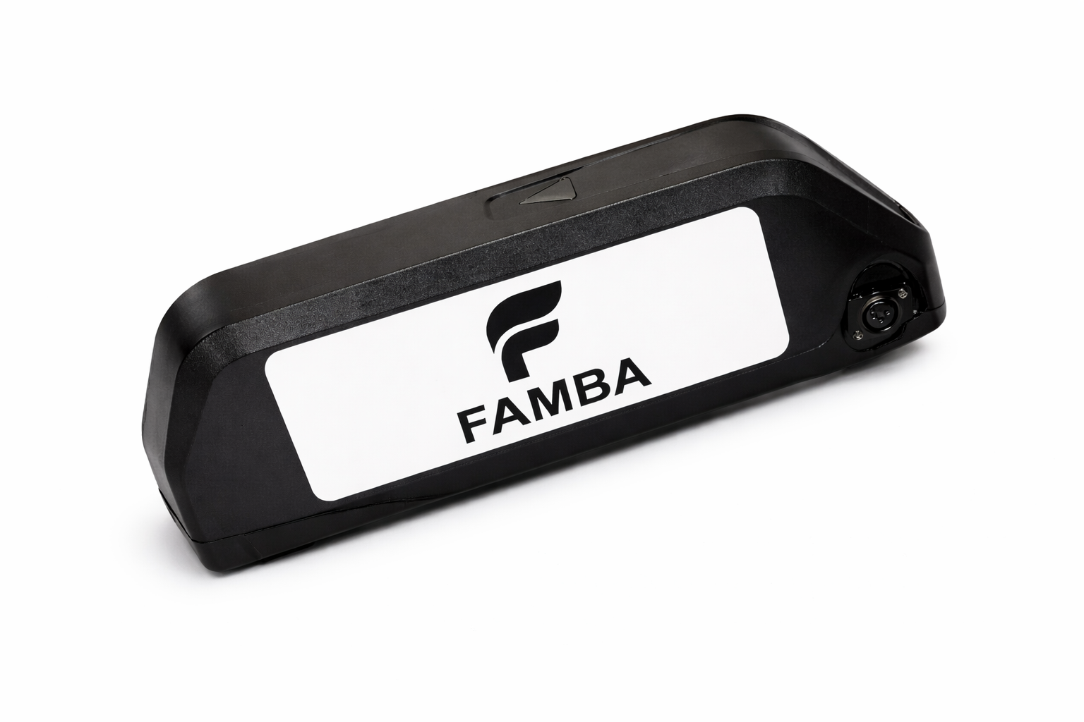 FAMBA 48V 30Ah Lithium-Ion E-Bike Battery – High-Capacity Electric Bike Battery Pack with Charger & Mounting Rail, Compatible with 250W, 500W & 1000W E-Bike Motors